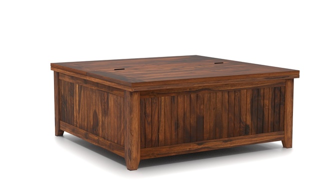 Rhibose Storage Coffee Table(Teak)